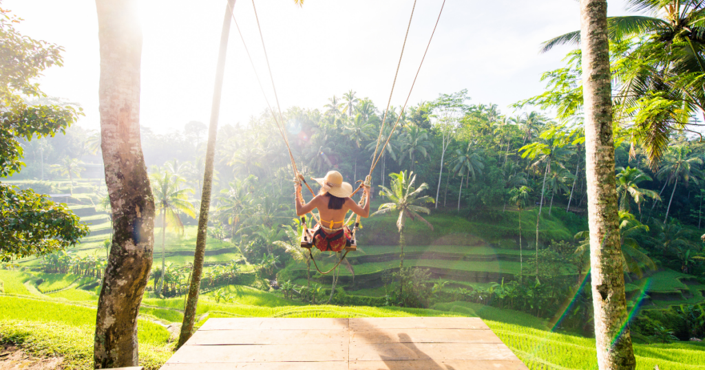 Bali paddy field